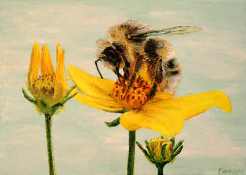 wpeB.jpg (17856 bytes)