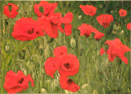 wpe1.jpg (29326 bytes)