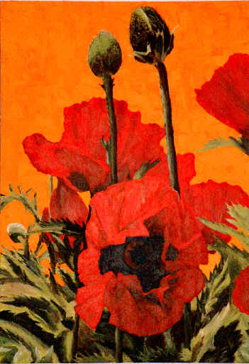 wpe11.jpg (29621 bytes)