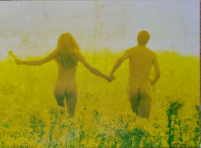 wpe3.jpg (11915 bytes)